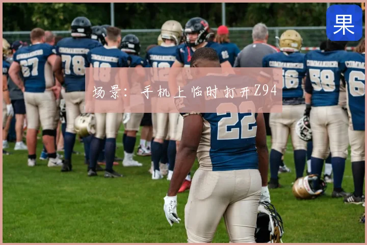 场景：手机上临时打开Z94