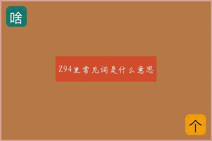Z94里常见词是什么意思